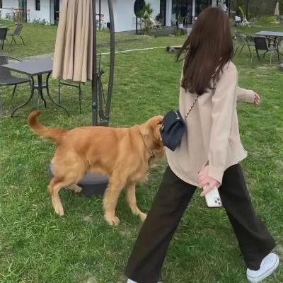 纽约二日情